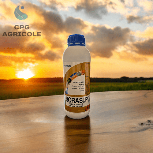 POMPES MULTI-USAGES - CPG AGRICOLES - POMPES MULTI-USAGES - CPG AGRICOLES - Matériels Agricoles Maroc -Pompes Agricoles - Panneaux Solaires - Chauffe-eau Solaires - Biostimulants et Engrais Agricoles - Onduleurs et BATTERIES - Panneaux solaires maroc Prix - Vente matériels Agricoles Maroc -بيع المواد و العتاد الفلاحي في المغرب الألواح الشمسية المغرب الأسمدة الفلاحية مستشار فلاحي مضخات الماء الفلاحية