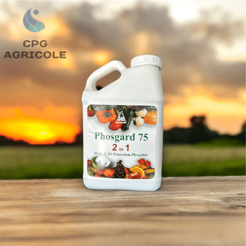 POMPES MULTI-USAGES - CPG AGRICOLES - POMPES MULTI-USAGES - CPG AGRICOLES - Matériels Agricoles Maroc -Pompes Agricoles - Panneaux Solaires - Chauffe-eau Solaires - Biostimulants et Engrais Agricoles - Onduleurs et BATTERIES - Panneaux solaires maroc Prix - Vente matériels Agricoles Maroc -بيع المواد و العتاد الفلاحي في المغرب الألواح الشمسية المغرب الأسمدة الفلاحية مستشار فلاحي مضخات الماء الفلاحية