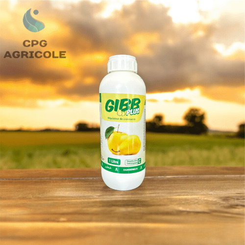 POMPES MULTI-USAGES - CPG AGRICOLES - POMPES MULTI-USAGES - CPG AGRICOLES - Matériels Agricoles Maroc -Pompes Agricoles - Panneaux Solaires - Chauffe-eau Solaires - Biostimulants et Engrais Agricoles - Onduleurs et BATTERIES - Panneaux solaires maroc Prix - Vente matériels Agricoles Maroc -بيع المواد و العتاد الفلاحي في المغرب الألواح الشمسية المغرب الأسمدة الفلاحية مستشار فلاحي مضخات الماء الفلاحية